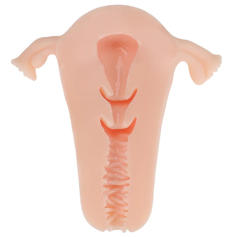 ManMiao Real Uterus