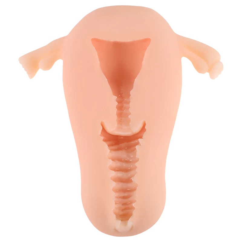 ManMiao Real Uterus