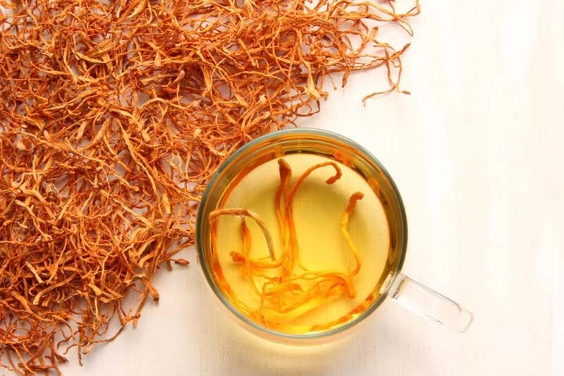 Chú ý liều lượng khi dùng đông trùng hạ thảo để bồi bổ sức khỏe sinh lý