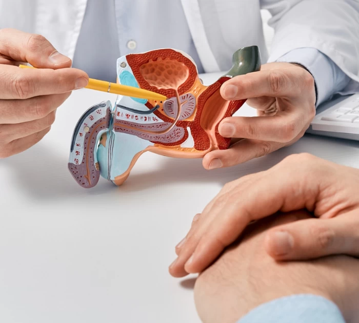 Những điều cần biết về xuất tinh ngược để tránh nhưng tai nạn không cần thiết