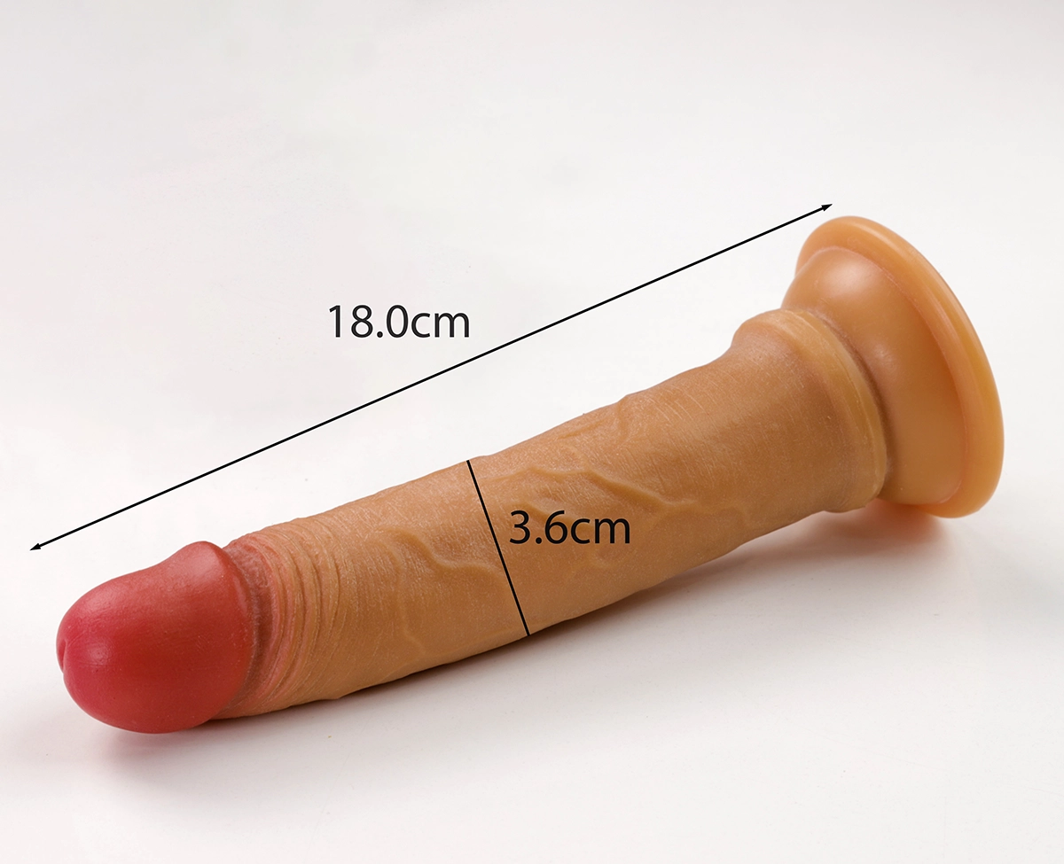 Ảnh thông số kích thước của Lovetoy Dual Layered 7 inch