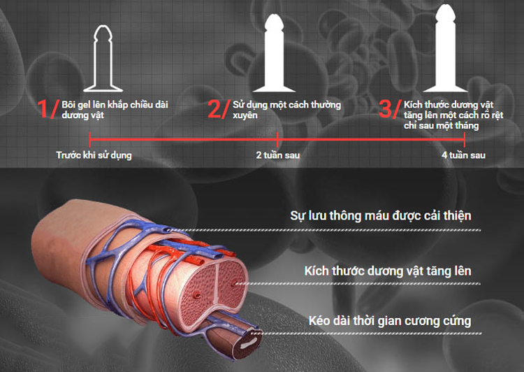 Cấu Tạo Và Cơ Chế Làm To Dương Vật Bằng Máy Tập Gel Tăng Kích Thước 1744